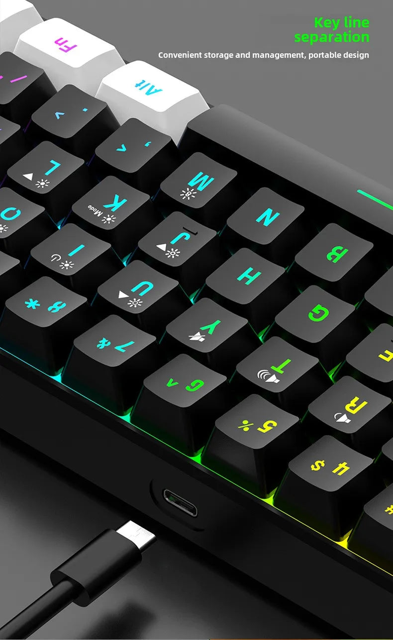 Ensembles de clavier et de souris 60 % de jeux RVB avec claviers souris combo pc kit gamer rétroéclairé mini 61 touches ordinateur filaire ensemble clavier N&M